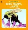 Bees__wasps__and_ants