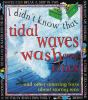 Tidal_waves_wash_away_cities