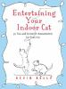 Entertaining_your_indoor_cat