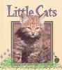 Little_cats