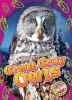 Great_gray_owls