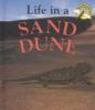 Life_in_a_sand_dune