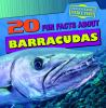 20_fun_facts_about_barracudas