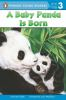 A_baby_panda_is_born