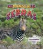 Endangered_zebras