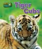 Tiger_cubs