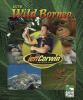 Into_wild_Borneo