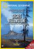 Secret_Yellowstone