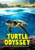 Turtle_odyssey