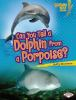Can_you_tell_a_dolphin_from_a_porpoise_