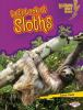 Let_s_look_at_sloths