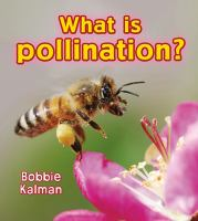 What_is_pollination_