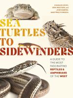 Sea_turtles_to_sidewinders