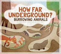 How_far_underground_