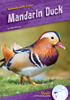 Mandarin_duck