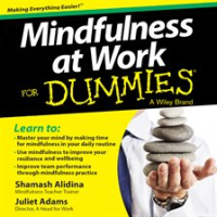 Mindfulness_at_Work_For_Dummies