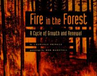 Fire_in_the_forest