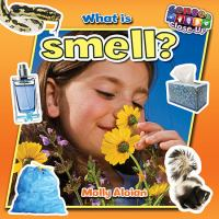 What_is_smell_