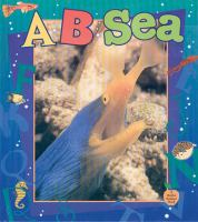A--_B--_sea